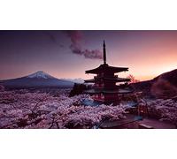 Geroclonup 5D Full Drill Diamond Painting Japanese Cherry Blossom Scenery Kits for Adults Paint by Numbers DIY Gem Art Craft for Kids Gift Wall Decor, 12 x 21 inches