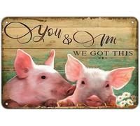 Geroclonup Cute Pigl Metal Sign, You & Me, We Got This Sign Inspirational Emotional Passionate Retro Wall Decor Tin Sign, 30x40cm