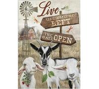 Geroclonup Goat Live Like Someone Left The Gate Open Retro Metal Tin Sign Vintage Sign For Home Decor Room Metal Decor-20x30cm