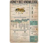 Geroclonup Metal Tin Sign Honey Bee Knowledge Metal Sign Life Cycle of Honeybee Infographics Tin Sign Vintage Art Wall Decor Sign Home Kitchen Bar Patio Cave Funny Decor 20x30cm