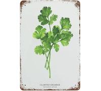 Geroclonup Vintage Metal Tin Sign Cilantro Coriander Herb Valentine's Day Sign Funny Novelty Kitchen Bar Club Garage Garden Home Decor Wall Art Tin Signs 20x30cm-2024Y
