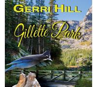 Gerri Hill Gillette Park Paperback Book Gerri Hill Multicolor
