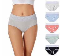 Gerrit 5 Pack Women's Underwear High Waisted Cotton Briefs Stretch Panties Soft Full Coverage Underpants (H,5XL)