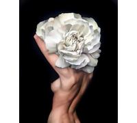 GeRRiT Beautiful Woman Head Flower Paint by Numbers for Adults Black Background Female Body Painting by Numbers White Flower Nordic Style Acrylic Oil Painting 40 * 50cm