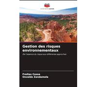 Gestion des risques environnementaux: De l'essence du risque aux différentes approches