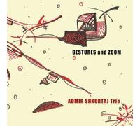 Gestures and Zoom by Admir Shkurtaj Trio