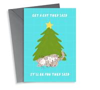 Get A Cat They Said Christmas Card, For Pet Owners And Cat Lovers