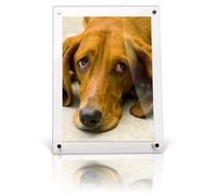 Get Acrylic Photo Frames - A5 Modern Certificate/Desktop Photo Frame Clear Acrylic Frameless Display With 4 Corner Posts and 2 Metal Supports 21cm x 14.8cm (For Landscape or Portrait)