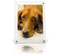 Get Acrylic Photo Frames - A6 Modern Certificate/Desktop Photo Frame Clear Acrylic Frameless Display With 4 Corner Posts and 2 Metal Supports 14.8cm x 10.5cm (For Landscape or Portrait)