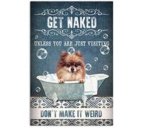 Get Naked Unless You Are Just Visiting Don’T Make It Weird Pomeranian Dog Retro Metal Tin Sign 8X12 Inches