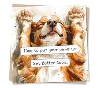 Get Well Soon Card for Friend or Loved One - Time To Put Your Paws Up - Animal or Dog Lover - Get Better Soon, Health - for Relative, Partner, Friend, Bestie, Colleague