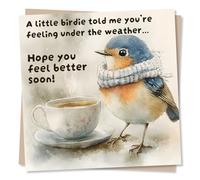 Get Well Soon Card for Women, Her, Female, Men - Operations, Robin, Tea | for Him, Mum, Dad, Nan, Grandad, Sister, Colleague - from All of Us - Knitted Scarf, Cosy - Blank Inside, with Envelope