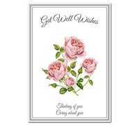 Get Well Soon Card - Illness Confinement Home Hospital Thoughtful Greetings - Heartfelt Wishes Speedy Recovery Feel Better - Blank inside to write own special message of love care support good cheer