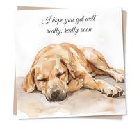 Get Well Soon Dog Design Card - I Hope You Get Well Really Really Soon - Beautiful Design - Sincere and Heartfelt - For Loved One, Relative, Friend, Best Friend or Partner