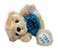 Get Well Soon Teddy Bear Broken Leg Plush Stuffed Animal - Broken Leg Gifts for Kids, Funny After Surgery Gift for Children, Recovery Bear with Bandages from Leg Injury (I DO MY OWN STUNTS)