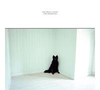 Get Well Soon The Horror (Vinyl) 12" Album