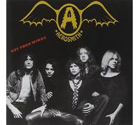 Get Your Wings By Aerosmith (1993-11-08)