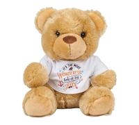 Getagift Happy Summer Vacation, Beach Holiday, Aesthetic Travel, Ocean Artwork Gift, Plush Toy | Soft Toy Teddy. (Brown Teddy)