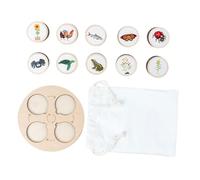 GETAJGHSD 1 Set Animals Life Cycle Board for Educational Play Animal Growth Models for Teaching Role Playing Storytelling for Projects