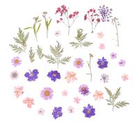 GETAJGHSD 27pcs/set Dried Flowers Pressed Flowers Colorful Easy to Use Suitable for DIY Projects for Making Resin Jewelry Crafts and Home Decoration