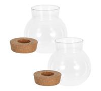 GETAJGHSD 2pcs Glass Propagation Vases with Cork Stopper 480ml Hydroponic Plant Holders for Desktop and Office Desk, Space Saving Decor and Plant Propagation Station