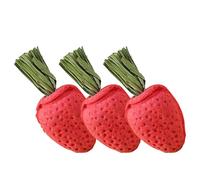 GETAJGHSD 3pcs Small Strawberry Chew for Hamsters and Chinchillas, Natural Pet Molar Chewing Supplies, Boredom Relief Set for Small Animals
