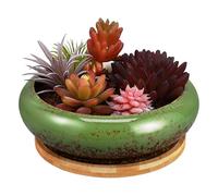 GETAJGHSD Ceramic Cactus Plant Container with Unique Bowl Shape and Creative Design, Easy to Grow Succulents and Plants, for Living Room or Office Use, Green Shallow Ceramic Planter