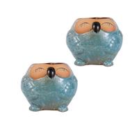 GETAJGHSD Flower Pots to Promote Aerobic Respiration Ceramic 2pcs Owl Shaped Blue with Breathable Design for Succulent Plants for Patio and Balcony Gardening