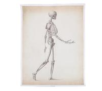 GETAJGHSD Human Anatomy Chart Wall Poster on Canvas Featuring Skeletal System and Muscular Structure, Font Teaching Tool for Hospitals and Schools