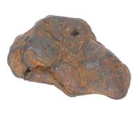 GETAJGHSD Iron-Nickel Meteorite Specimen 2-3Cm Real Space Rock Educational Model for Science Classrooms and Desktop Display