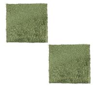 GETAJGHSD Reptile Moss Carpets 2pcs Green Cotton Absorbent Bedding | Natural-looking Mats for Pet Reptiles, Crawler Mats, Super Comfortable Feel, Simulated Moss Carpet Style