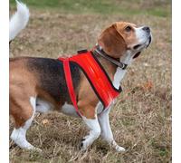 GETAJGHSD Usb Rechargeable Led Dog Vest Red Large, Glowing Pet Vest for Summer Puppy Safety, Practical Lightweight Dog Summer Clothing for