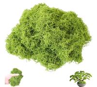 GETFACAI 100g Fake Moss, Moss, Artificial Moss, Faux Moss Artificial Plants Outdoor Dried Moss, for Arts and Crafts, Christmas and Easter Decorations, Home, Garden, Crafts and More