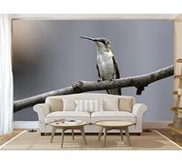 GetitStickit VeUKSkinTabAmaFireHDX7inch_12 "Peacock Removable Skin for 7-Inch Amazon Kindle Fire HDX