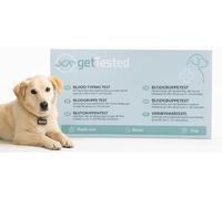 getTested Dog Blood Typing Test Kit - At-Home Rapid Test (DEA1 Positive/Negative), Fast Results in Minutes, Easy Pet Health Check