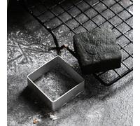 Gettimore 10pcs Stainless Steel Pineapple Cake and Biscuit Cutter Set with Press Stamp for Fondant Cupcakes Bread Sandwiches Cheese and Soft Fruit, Reusable Non-Stick Baking Molds Silver