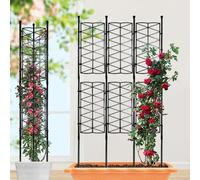 Gettimore Plant Climbing Frame, Metal Plant Stakes Trellis Frame Rustproof Sweet Pea Frame for Roses, Climbers, Vegetables(A)