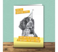 Getting Older, Still Got A Springer In Your Step! - Funny Animal Greetings Card