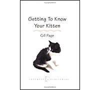 Getting To Know Your Kitten