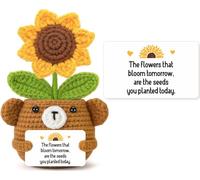 GevGuxLuo Handmade Positive Crochet Flower with Positive Card - Inspirational Gifts for Women Men Friend Sister Daughter Coworkers, Emotional Cheer Up Support Flower Gifts