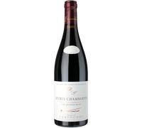 Gevrey Chambertin - Jeunes Rois Bio 2023 - Domaine Tortochot