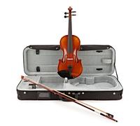 Gewa Maestro 1 Violin Outfit Bulletwood Bow Oblong Case
