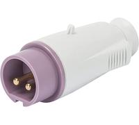 Gewiss GW60064 Standard Electrical Connector 16 A 2P Straight - Power Supply (16 A, 24 V, 2P, Straight, Male, Violet)