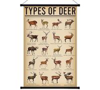 Geyee Duck Vintage Poster Wall decor Mallard Ducks Hunting Art Knowledge Picture Prints Wall Decor for Home Kitchen Office Classroom Living Room Bedroom Frame, 15.8 x 23.6 Inch(Deer)