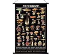 Geyee Vintage Mushroom Poster Fungus Wall Art Prints Rustic Mushroom Wall Hanging Illustrative Reference Chart Poster for Living Room Office Classroom Bedroom Decor Frame, 15.8x23.6 Inch (Black)