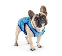 GF Pet 79g68522 ELASTOFIT Cooling Vest, XS, 130 g
