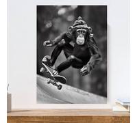 gfc funny monkey skateboarding skate board animal Print Picture Poster A4 UNFRAMED wall art Home decor Decorating preppy