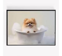 gfc pomeranian dog bath bathroom Print Picture Poster cute A4 UNFRAMED wall art Home decor Decorating gift