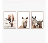 gfc Set of 3 horse Prints Picture Poster zebra elephant Gift A4 UNFRAMED wall art Home decor Decorating horses