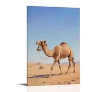 GFGPSALZU A Camel Walks in The Desert, Bell Ringing Fashionable Wall Decor - Hanging Art Poster And Mural20x30inch(50x75cm)